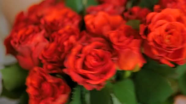 Floristería profesional preparando rosas rojas para ramo en el taller — Vídeos de Stock