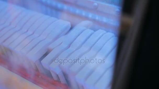 Close up shot of piano hammers playing key — Stok Video