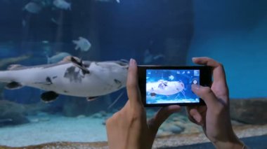 Kadını kabul bir fotoğraf oceanarium