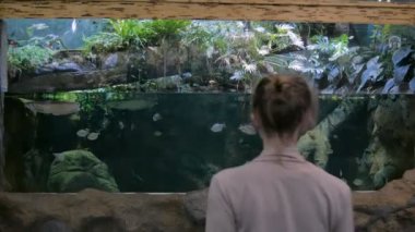 Kadın büyük akvaryum akvaryumunun yanında kalıp balıkları izliyor.
