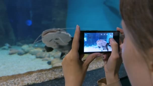 Mulher tirar uma foto no oceanário — Vídeo de Stock