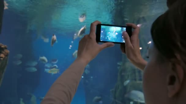 Kvinnan tar bilder av fiskar med smartphone — Stockvideo