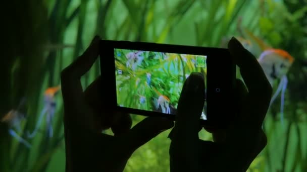 Mulher tirar uma foto no oceanário — Vídeo de Stock