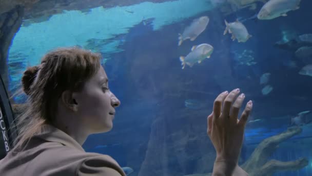 Frau bleibt in der Nähe eines großen Aquariums und beobachtet die Fische — Stockvideo