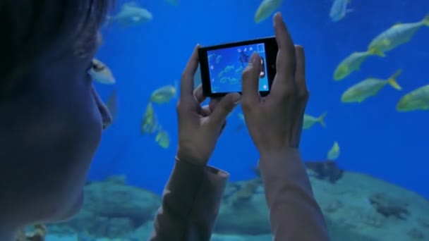 Vrouw neemt foto 's van vissen met smartphone. — Stockvideo