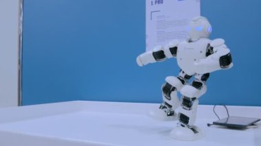 Teknoloji gösterisinde kung fu hareketleri gösteren insansı robot