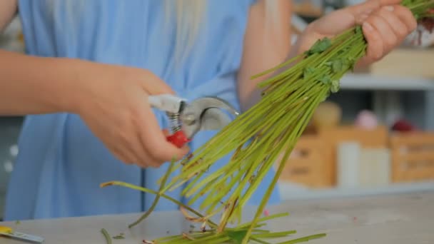 Professionell florist skärande blomma stjälkar på studio — Stockvideo