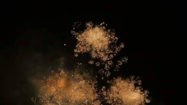 Fuegos artificiales de colores, noche — Vídeo de stock