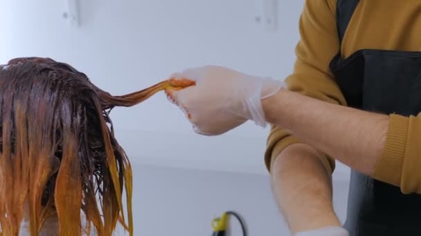 プロの美容師がスタジオで女性クライアントの髪を着色 — ストック動画