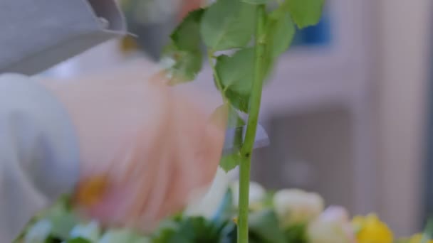 Fleuriste professionnel travaillant avec des fleurs en studio