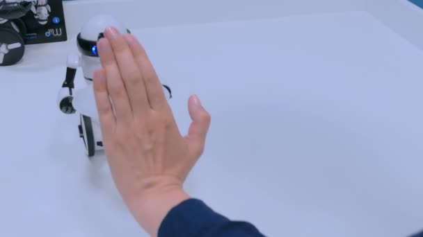 Женщина управляет маленьким симпатичным роботом с рукой — стоковое видео