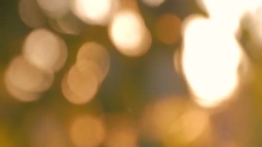 Soyut doğa bokeh arkaplanı