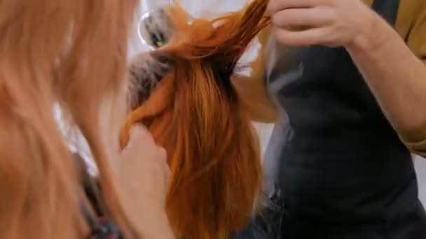 Три выстрела. Два профессиональных парикмахера сушат волосы клиента — стоковое видео