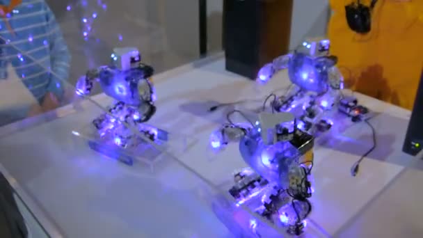 Гуманоїдний робот танцює на роботизованому шоу — стокове відео