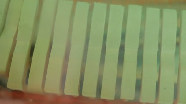 Close up shot of piano hammers playing keys — Stock Video