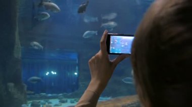 Kadını kabul bir fotoğraf oceanarium