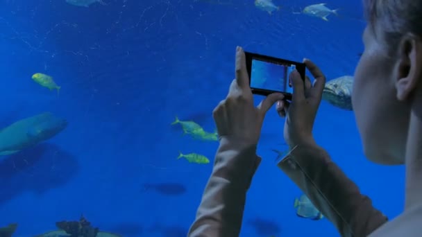 女性は、海洋水族館で写真を撮る — ストック動画