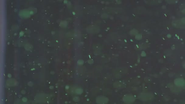 Yeşil parçacıklar aşağı düşüyor — Stok video