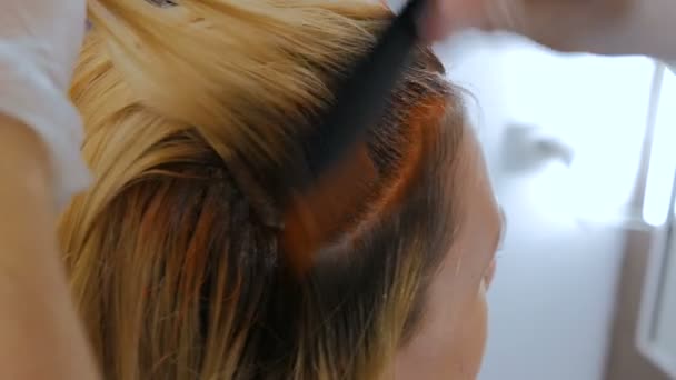 Cabeleireiro profissional colorir o cabelo da mulher cliente no estúdio — Vídeo de Stock