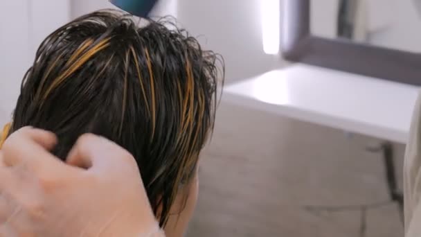 Profesyonel kuaför kurutma istemci saç — Stok video