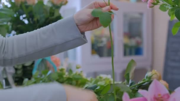 Fleuriste professionnel travaillant avec des fleurs en studio — Video