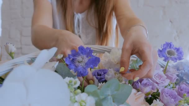 Florist gör stora blommor korg med blommor i blomsteraffär — Stockvideo