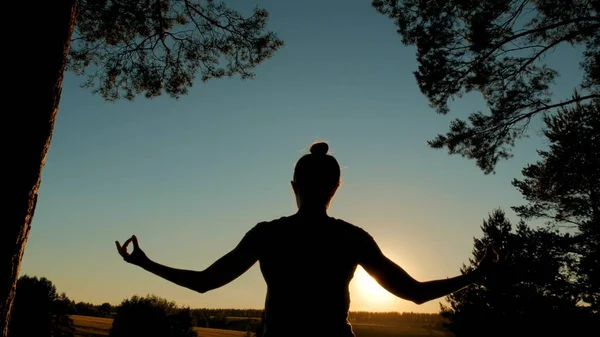 O femeie sportivă care practică yoga în parc la apusul soarelui — Fotografie, imagine de stoc