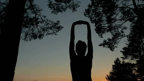 Junge Frau streckt sich nach Sonnenuntergang im Wald gen Himmel — Stockfoto