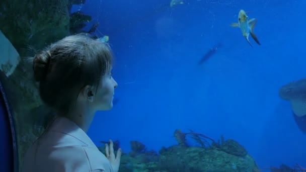 Mujer estancia cerca de gran acuario tanque, viendo los peces — Vídeo de stock