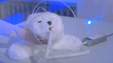 Robot gösterisinde kadın sevimli Japon robot fokunu okşadı