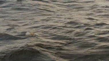 gün batımında su yüzeyi