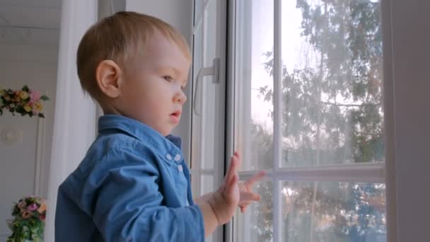 Pensive little boy looking through the window — Stock video