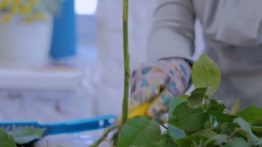 Stüdyoda çiçeklerle çalışan profesyonel bir çiçekçi.