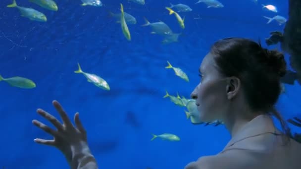 Mujer estancia cerca de gran acuario tanque, viendo los peces — Vídeos de Stock