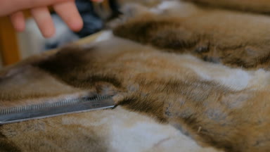 Skinner vizon kürklü deriyle çalışıyor.