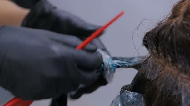 Cabeleireiro profissional colorir o cabelo da mulher cliente no estúdio — Vídeo de Stock