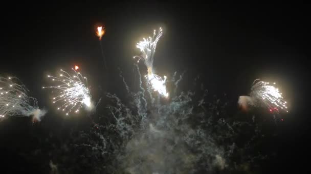 Fogos de artifício coloridos no céu escuro à noite - conceito de férias — Vídeo de Stock
