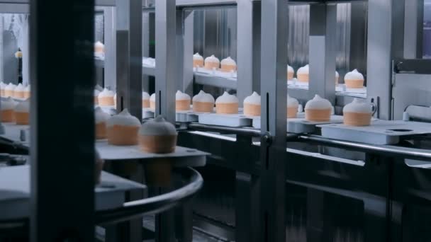 Eiscreme automatische Produktionslinie bei modernen Molkereiprodukten — Stockvideo