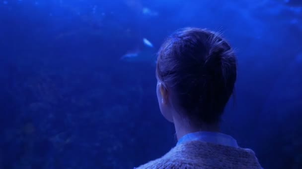 Mujer mirando el vórtice de peces en un gran acuario público en Oceanarium — Vídeos de Stock