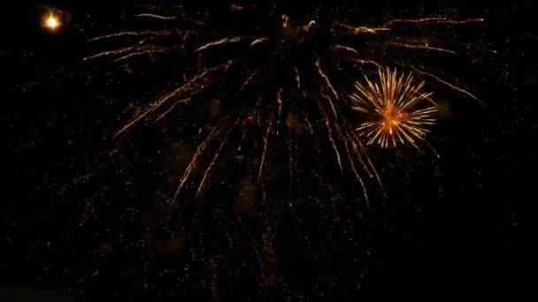 Concept de vacances - feux d'artifice colorés dans le ciel sombre la nuit — Video