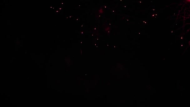 Fogos de artifício coloridos no céu escuro à noite - conceito de férias - movimento super lento — Vídeo de Stock