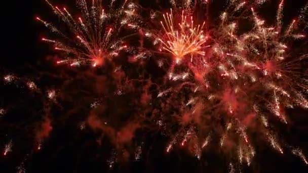 Vakantie concept - kleurrijk vuurwerk in de donkere lucht 's nachts — Stockvideo