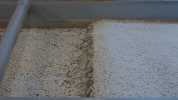 Recycled plastic granules on automatic conveyor belt — Stock Video