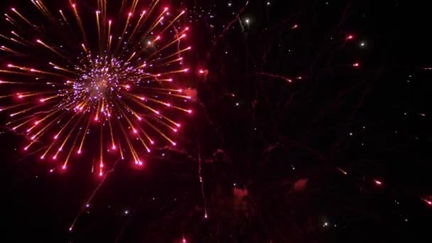 Holiday koncept - färgglada fyrverkerier i mörk himmel på natten - super slow motion — Stockvideo