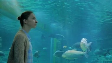 Oceanarium 'da büyük bir akvaryum tankında balık girdabına bakan bir kadın.