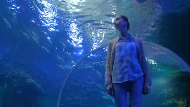 Mujer mirando el vórtice de peces en un gran acuario público en Oceanarium — Vídeos de Stock