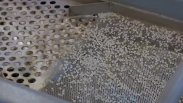 Переработанные пластиковые гранулы на автоматическом транспортере — стоковое видео