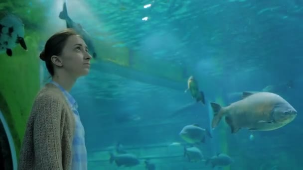 Mujer mirando peces en gran acuario público tanque en Oceanarium — Vídeos de Stock