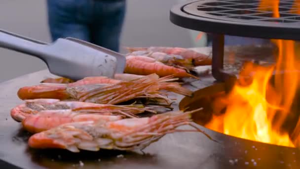 Slow motion: chef grilling fresh red king prawns on brazier with hot flame — Stock Video