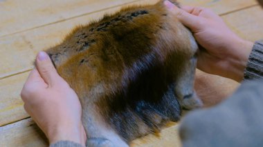 Skinner vizon kürklü deriyle çalışıyor.